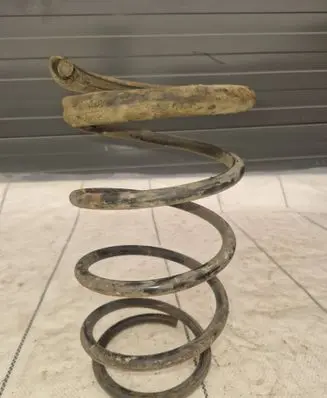 Rear coil spring