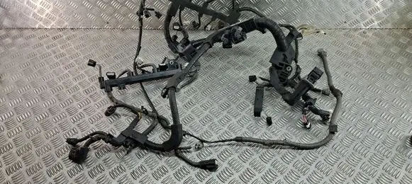 Toyota C-HR I Engine installation wiring loom