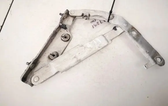 Volkswagen New Beetle Tailgate/trunk/boot hinge 1c0827302a