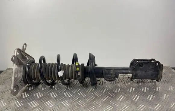 Jeep Compass Rear shock absorber with coil spring 005216000020