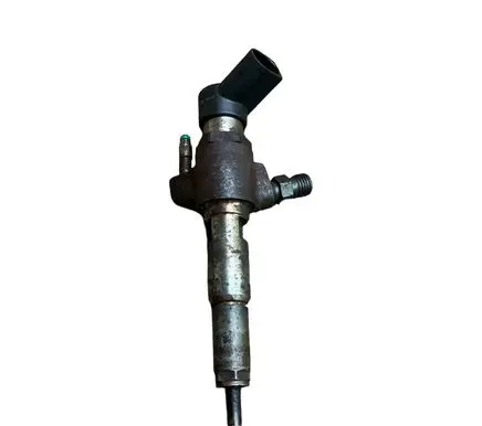 Citroen C3 Fuel injector 50274V05 9674973080