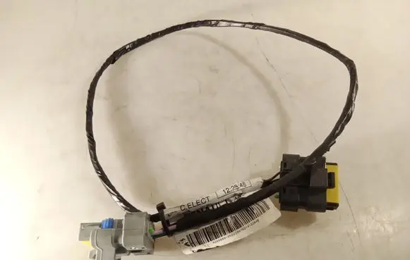 Rear door wiring loom