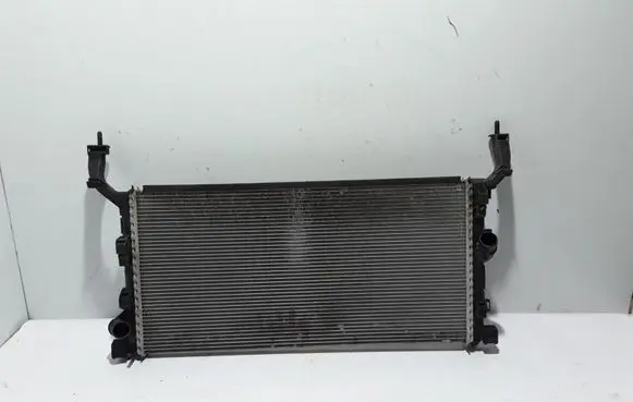 Renault Laguna III Coolant radiator 214000003R