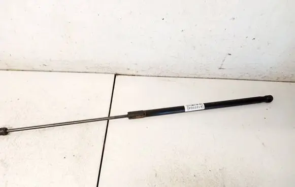 Tailgate/trunk strut/damper