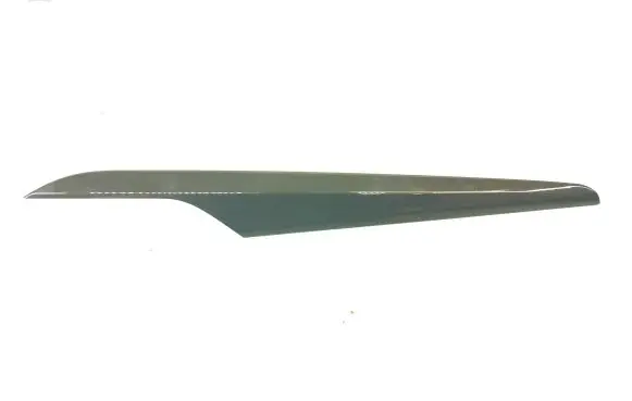 Other front door trim element