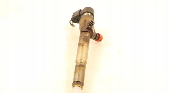 Renault Megane II Fuel injector 8200380253