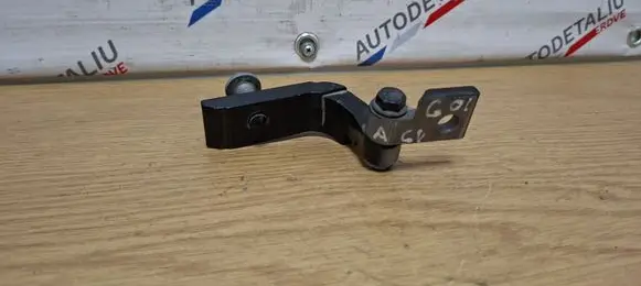 BMW X3 G01 Rear door lower hinge 7397385
