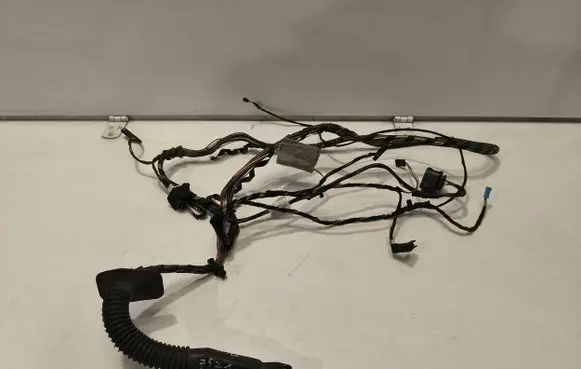BMW X5M E70 Rear door wiring loom 6925542 14524661