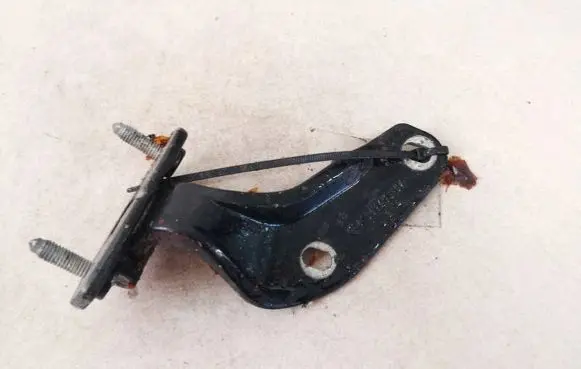 Tailgate/trunk/boot hinge