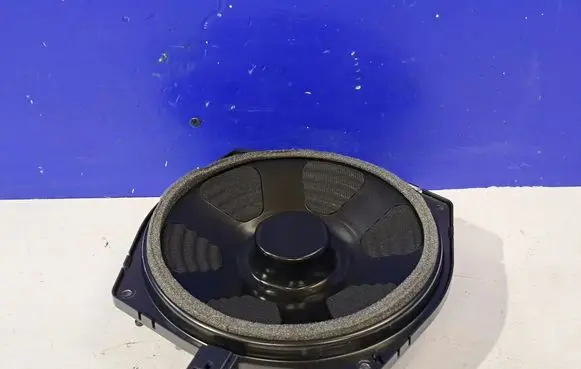 Jaguar F-Type Front door speaker CPLA18808DB