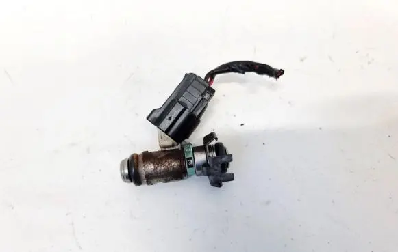 Volkswagen Golf V Fuel injector 036031AC