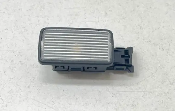 Volvo XC40 Front door interior light 31663793 1915205006