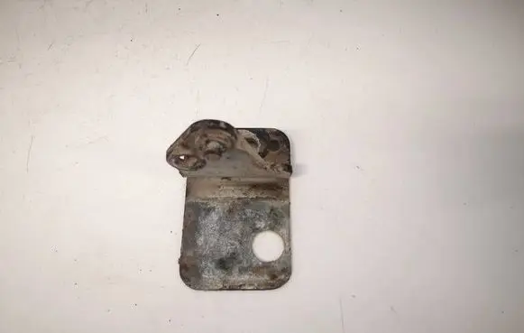 Volkswagen PASSAT B5.5 Rear door lower hinge 