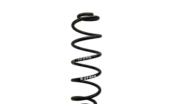Rear coil spring