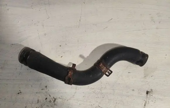 KIA Picanto Engine coolant pipe/hose 2541107100