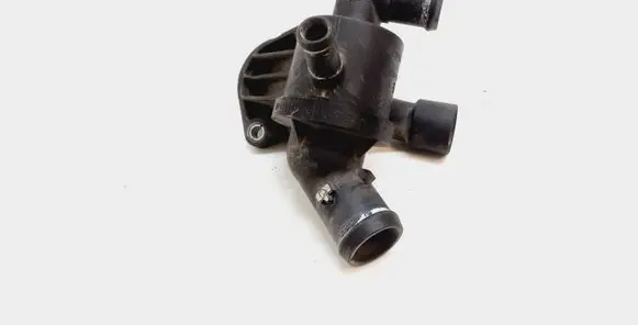 Thermostat/thermostat housing