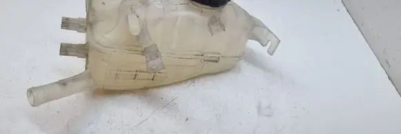 Renault Scenic III - Grand scenic III Coolant expansion tank/reservoir 217100005R