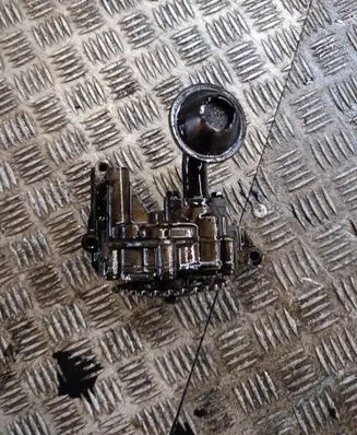 Volkswagen PASSAT B5.5 Oil pump 