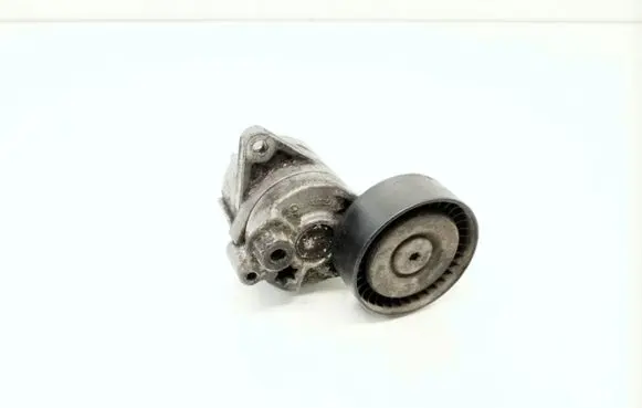 Mercedes-Benz S W220 Generator/alternator belt tensioner A6112000570