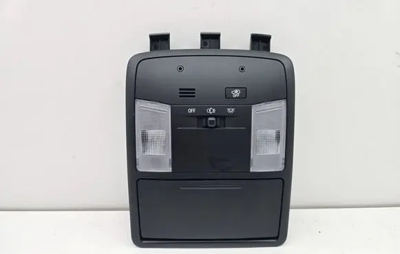 Toyota RAV 4 (XA40) Front seat light 1D111223G 8973271010