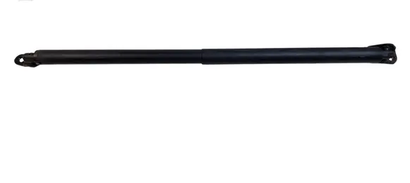 Ford Escape III Tailgate/trunk strut/damper CJ54S402A74 CJ54S402A74AC G560N
