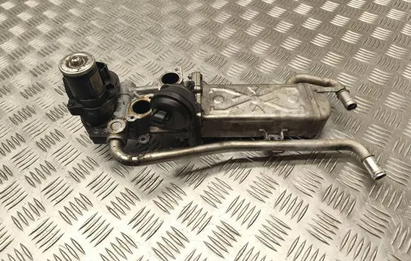 Seat Ibiza IV (6J,6P) EGR valve cooler 03L131512DP 114316L2