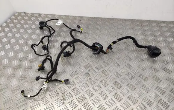 Fiat 500X Front door wiring loom 312366233