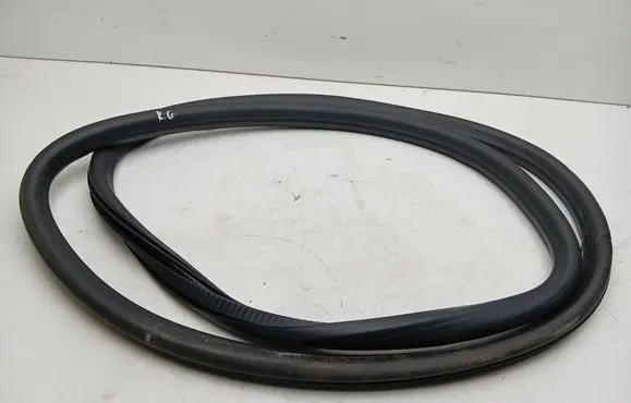 Opel Ampera Rear door rubber seal (on body) 
