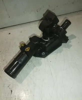 Thermostat/thermostat housing