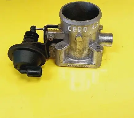 Throttle body valve