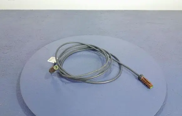 Mercedes-Benz AMG GT R190 C190 Other wiring loom A2905406902
