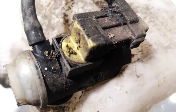 Windscreen/windshield washer pump