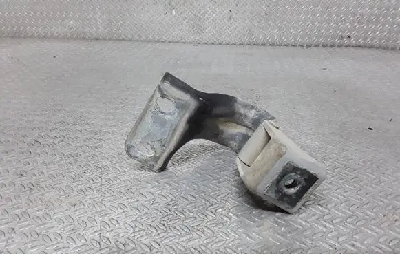 Tailgate/trunk/boot hinge