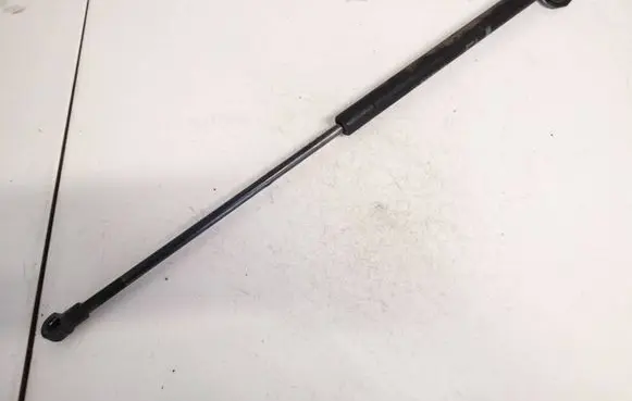 Tailgate/trunk strut/damper