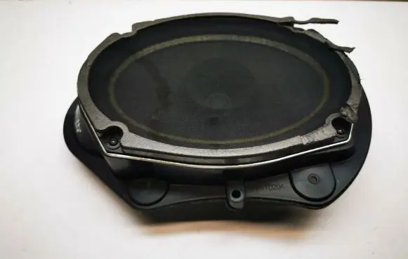 Front door speaker
