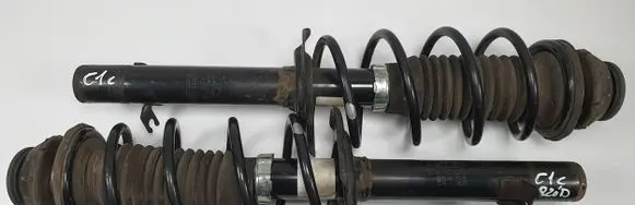 Citroen C1 Front shock absorber with coil spring 48520-0H010