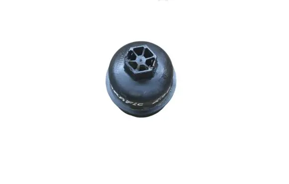 Renault Trafic II (X83) Oil filter cover 