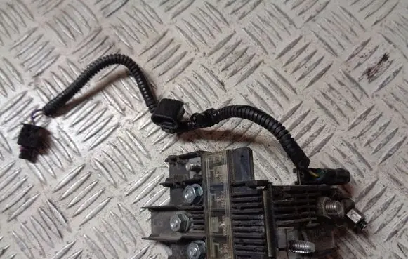 Ford Fiesta Positive wiring loom 