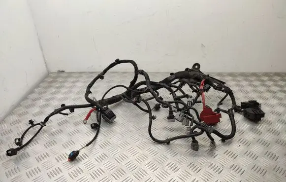 Dacia Sandero II Engine installation wiring loom 242962194r