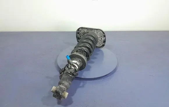 Rear shock absorber/damper
