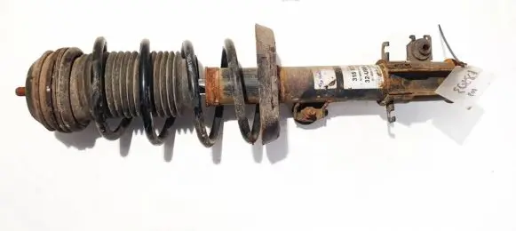 Fiat Punto (188) Front shock absorber/damper 315873 824903013219