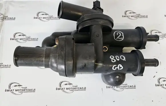 Thermostat/thermostat housing