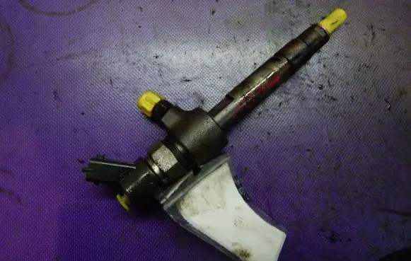 Fiat Punto (188) Fuel injector 0445110019