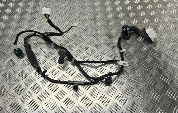 Other wiring loom