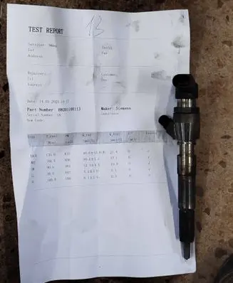 Nissan Juke I F15 Fuel injector H8201100113