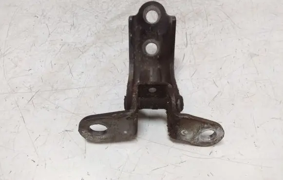KIA Sportage Front door lower hinge 