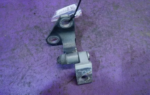 Volkswagen PASSAT B5.5 Front door lower hinge 
