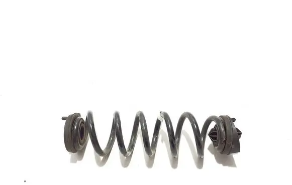Rear coil spring