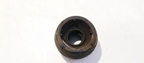 Coil spring mount