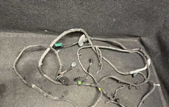 Other wiring loom